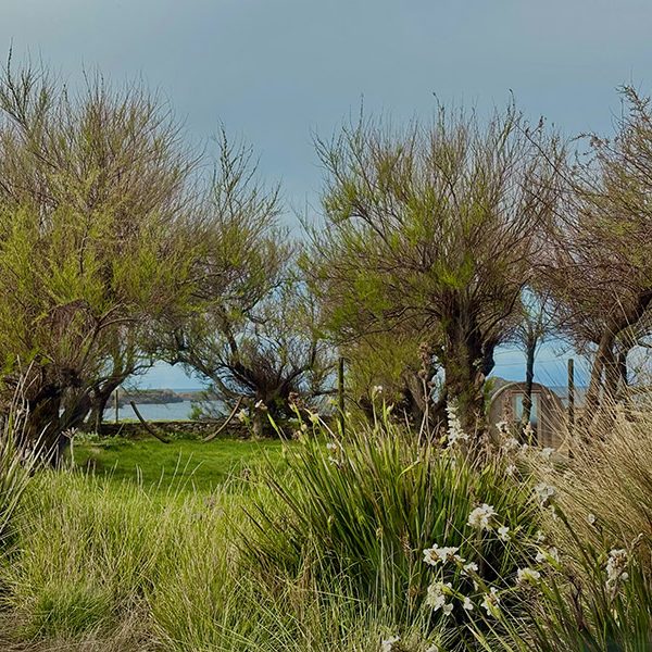 Photo-paysage-1-1.jpg
